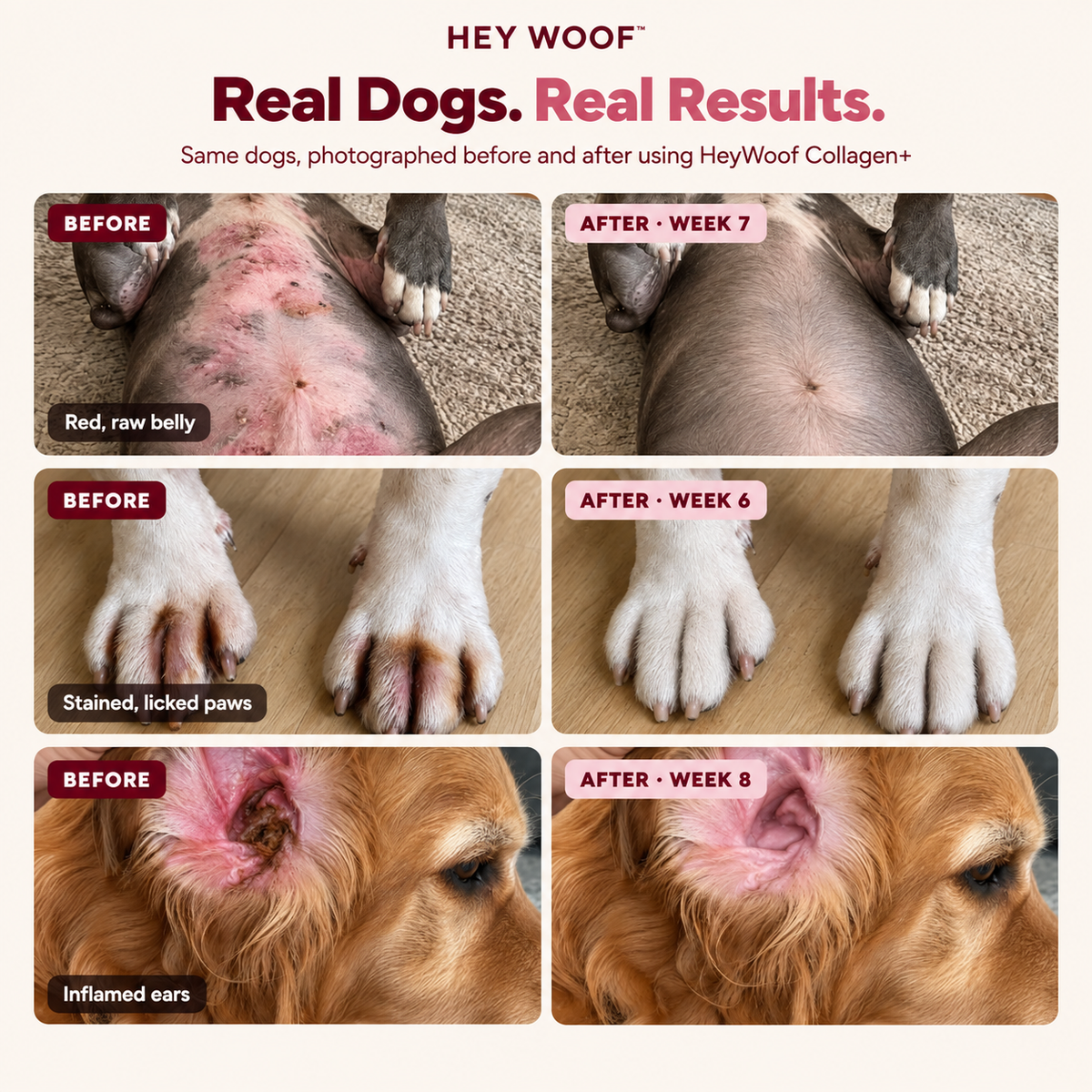 HeyWoof Collagen+ | Daily Skin & Coat Support for Dogs