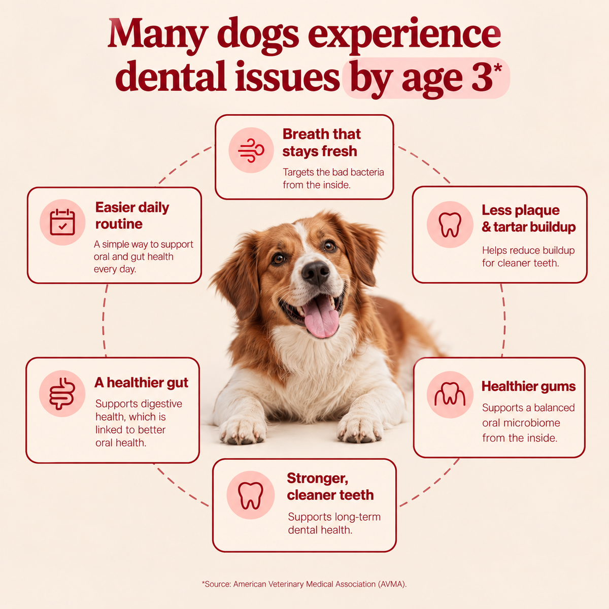 HeyWoof Dental Chews | Daily Oral Care + Gut Health