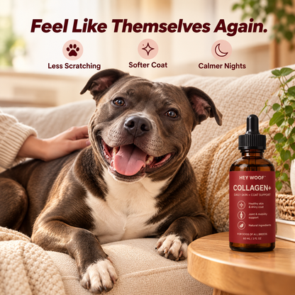 HeyWoof Collagen+ | Daily Skin & Coat Support for Dogs