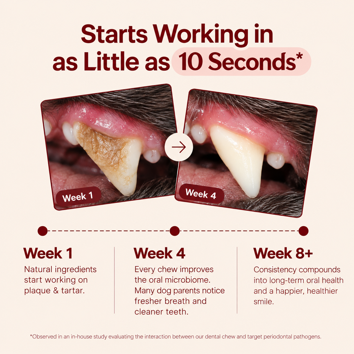HeyWoof Dental Chews | Daily Oral Care + Gut Health