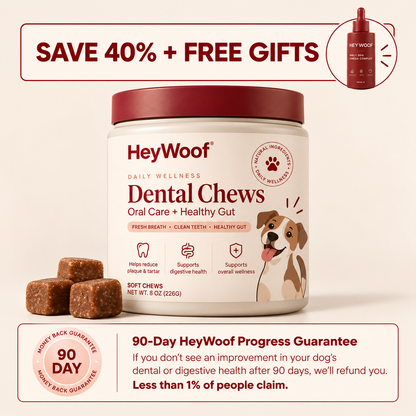 HeyWoof Dental Chews | Daily Oral Care + Gut Health