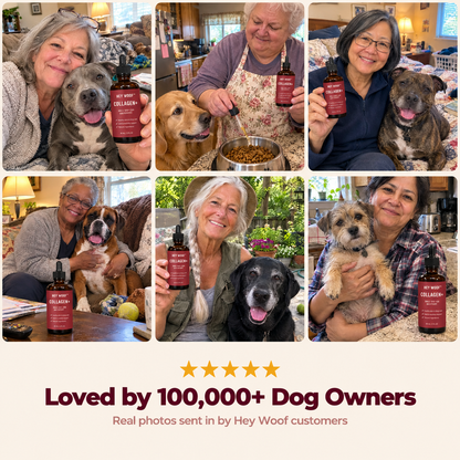 HeyWoof Collagen+ | Daily Skin & Coat Support for Dogs
