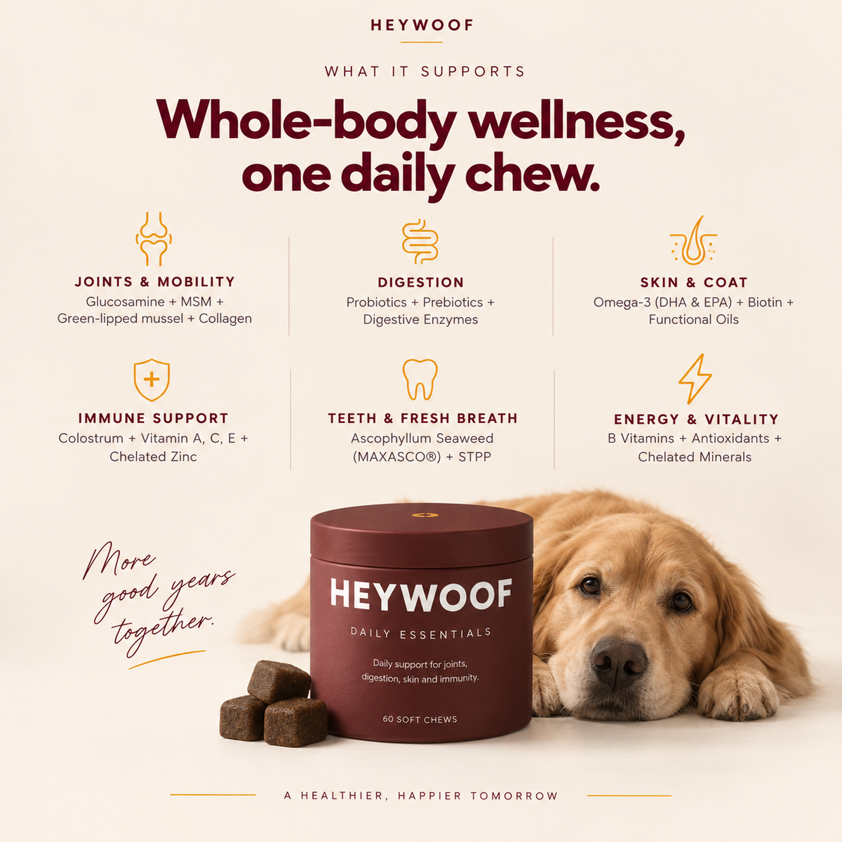 HEYWOOF Daily Essentials