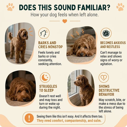 HEYWOOF Comfort Pal | Calming Cuddle Toy for Dogs