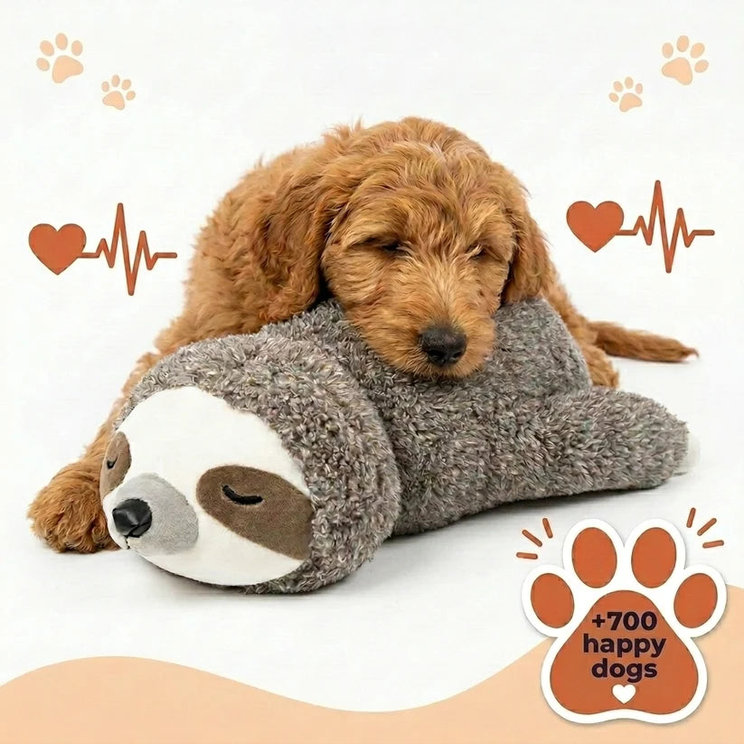 Dog resting beside a soft plush cuddle toy