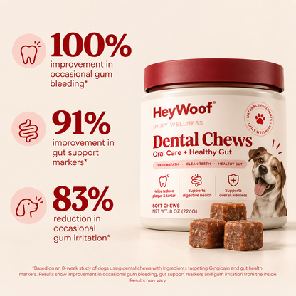 HeyWoof Dental Chews | Daily Oral Care + Gut Health