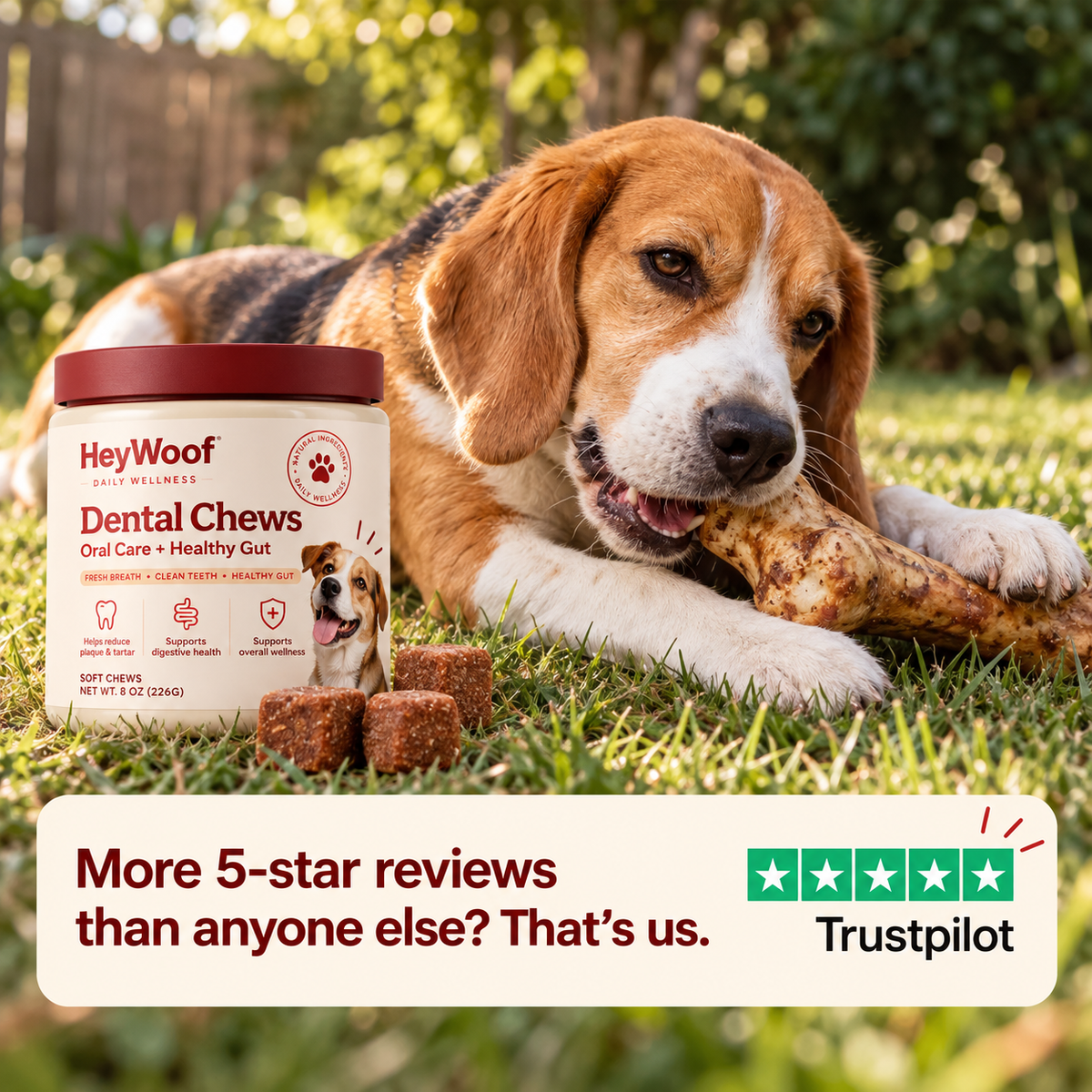 HeyWoof Dental Chews | Daily Oral Care + Gut Health