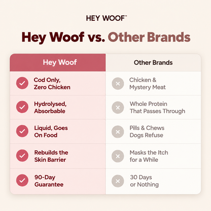 HeyWoof Collagen+ | Daily Skin & Coat Support for Dogs