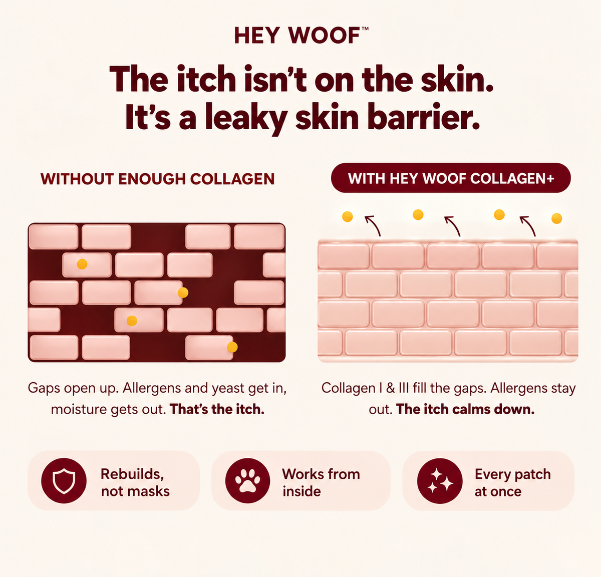 HeyWoof Collagen+ | Daily Skin & Coat Support for Dogs